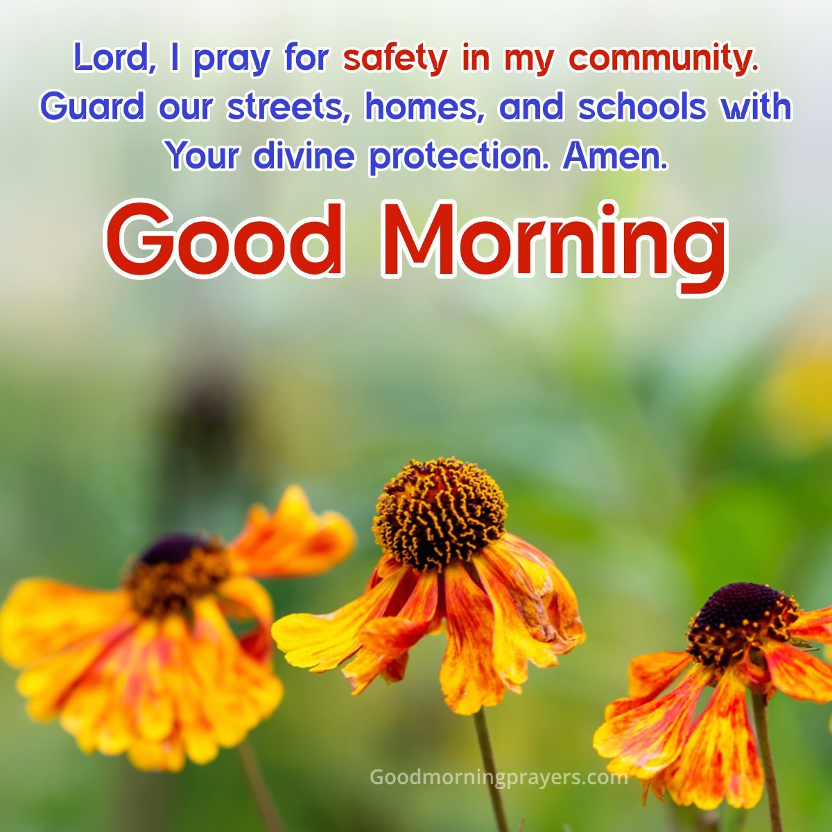 Good Morning Blessings For Community Safety A Safe Day