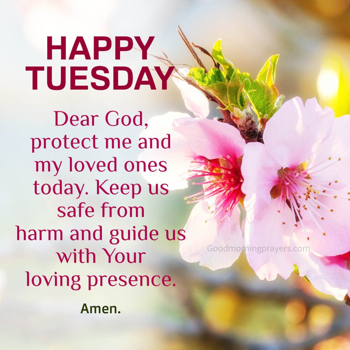 Good Morning Tuesday Prayer For Peace And Strength